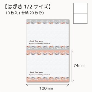 画像1: 【はがき1/2☆10枚入(20枚分)】 w100ラッピング台紙/ヘッダー/ribbon